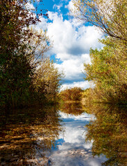autumn landscape with river