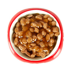 soft cat food in a cat dish