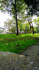 path in the garden