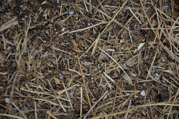 Typical dry soil on the provencal trails