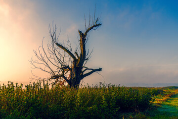 Jesień w Dolinie Górnej Narwi, Podlasie, Polska