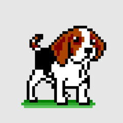 8 bit Pixel beagle puppy image. Animal in Vector Illustration of pixel art.