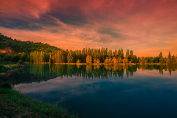 Blurred nature background view of naturally occurring trees and reflection on the water surface, the beauty of ecosystems at various vantage points.