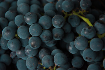 Bunches of black grapes. Fruit background
