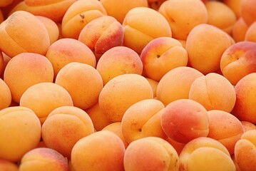 Viele Marillen, am Marktstand aufgestapelt.