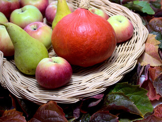 Korb mit einem Kürbis, Äpfel und Birnen