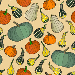 Vector illustration. Seamless pattern. Hand drawing pumpkin on a light background. Bright autumn wallpaper.