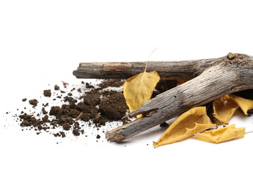 Dirt, soil pile, chunks with yellow birch leaves and tree bark, branch in fall, autumn isolated on white background