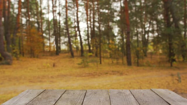 Real brown wooden table isolated at beautiful blurred orange autumn forest background. Autumn concept 4k video background.