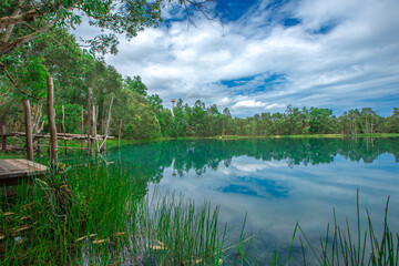 Nature wallpaper The atmosphere along the natural reservoir is beautiful emerald green, surrounded by trees and various plants, with cool breezes.