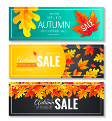 Set of Autumn promo sale flyers or backgrounds with bright autumn leaves. Vector illustration for banner, poster, special offer, advertising, flyer, commercial.