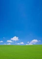 Obraz na płótnie Canvas 丘と雲