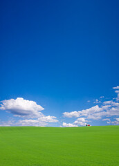 丘と赤い屋根の家