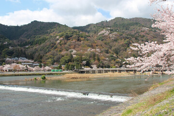 river (katsura-gawa) and bridge (togetsukyo) at arashiyama in kyoto (japan)