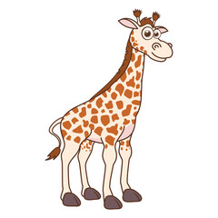 Fototapeta premium Funny giraffe. Cute Young Giraffe isolated on white background. Zoo animal cartoon character. Education card for kids learning animals. Logic Games for Kids. Adorable inhabitants of safari.