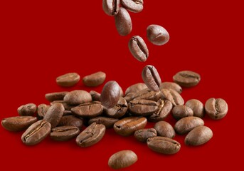 Obraz premium Agriculture.