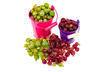 Red and green gooseberries in colored buckets.