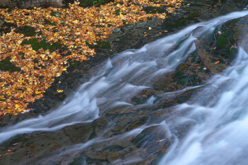 あだたら渓谷の紅葉
