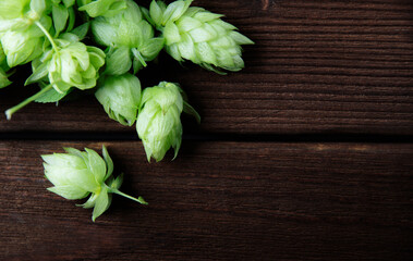 Green hops closeup on a wooden background