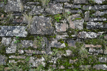 Verwitterte Natursteinmauer bewachsen mit Gräsern und Moos und Pflanzen - Stockfoto