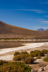 Variety  in the Atacama desert region with a lagoon, vegetation and volcano.
Chile.