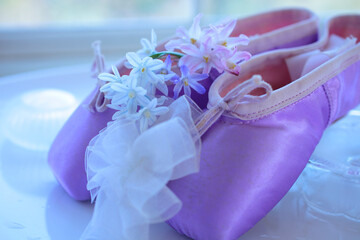 白色の花シラーとバレーシューズ