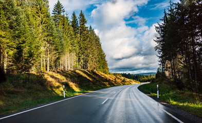 road in the forest