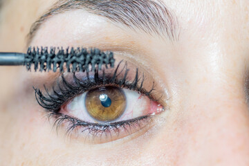 Close-up of the eye of a young woman putting on makeup with mascara for her eyelashes