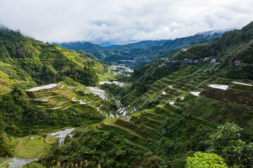 フィリピン　コルディレラのバナウェの棚田群