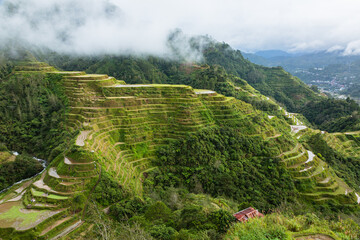 フィリピン　コルディレラのバナウェの棚田群