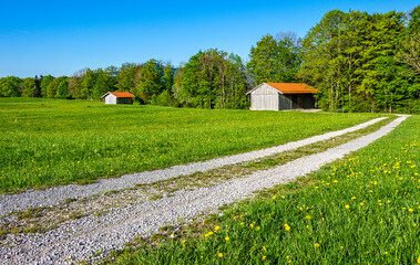 old country road at the alps