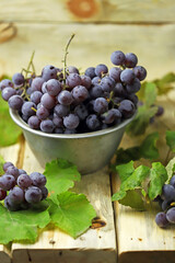 Selective focus. Fresh blue grapes in a bowl. Country style. Grape harvest.