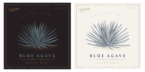 Foto op Plexiglas Vintage agave azul detailed engraved style illustration. Blue agave sketch © CHEESEBURGER
