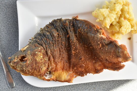 Delicious, freshly made baked carp, fried in a deep fryer as a traditional meal in Franconia, in Bavaria. A baked carp lies on a plate, ready to be eaten, traditionally with potato and endive salad 
