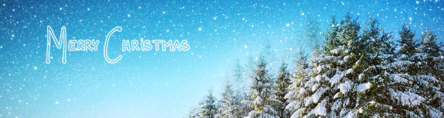 Merry Christmas Winter background with snow covered fir trees. Winter background.