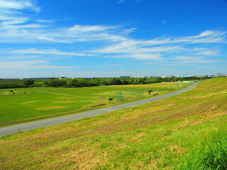 土手から見るグラウンドのある秋の江戸川河川敷風景