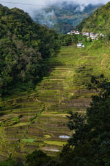 フィリピン　コルディレラのバナウェの棚田群