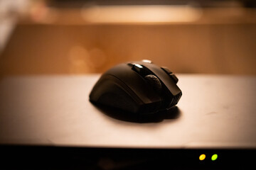 Maus 