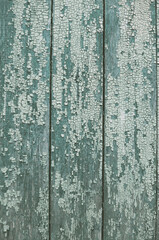 Fototapeta na wymiar natural old blue wood background