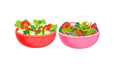 Fresh Salads in Bowl with Mixed Ingredients Vector Set