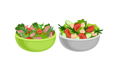 Fresh Salads in Bowl with Mixed Ingredients Vector Set