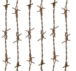 Picture of barbed wire on a white background