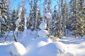 Winter rest on Lake Baikal. Forest after heavy snowfall. Russia. Silence, peace, white, soft snow, clean air.