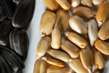 Sunflower seeds on a white background, unpeeled and peeled. Without a shell. Macro.