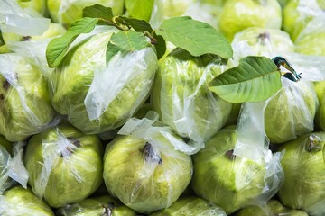 Fresh guava fruit. Green background.