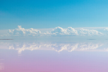 Pink salt lake water surface with mirror reflection of magic clouds with blue sky. Syvash or Sivash, the Putrid Sea or Rotten Sea, Ukraine