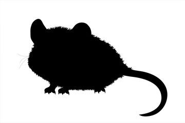 Vector silhouette of mouse on white background. Symbol of farm animal and rodent.