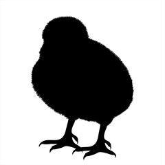 Vector silhouette of chicken on white background. Symbol of farm animal and poultry.