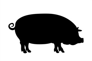 Vector silhouette of pig on white background. Symbol of farm animal.