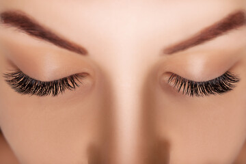 Eyelash Extension Procedure. Woman Eye with Long Eyelashes. Close up, selective focus. - 385750166